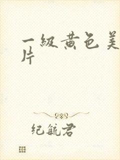 一级黄色美女,片