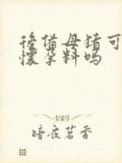 后备母猪可以喂怀孕料吗