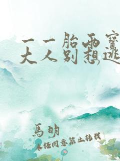 一一胎两宝老婆大人别想逃大结局