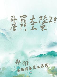 斗罗大陆2绝世唐门王东