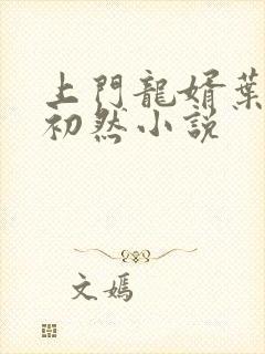 上门龙婿叶辰萧初然小说