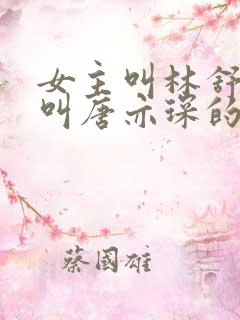 女主叫林舒男主叫唐亦琛的小说