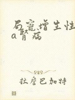 局灶增生性iga肾病