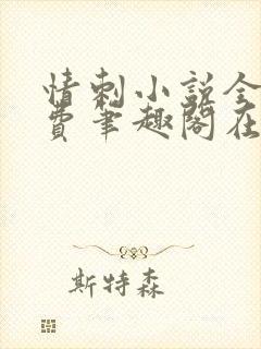 情刺小说全文免费笔趣阁在线阅读