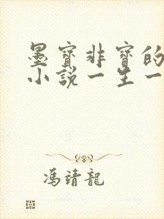 墨宝非宝的全部小说一生一世美人骨