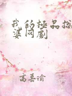 我的极品总裁老婆网剧