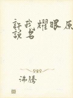 许我耀眼原著小说名