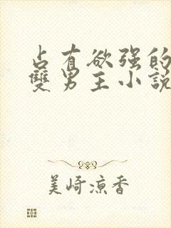 占有欲强的病娇双男主小说