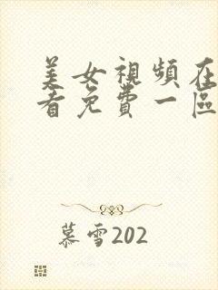 美女视频在线观看免费一区