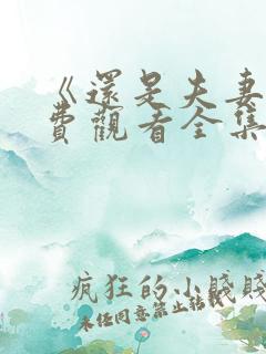 《还是夫妻》免费观看全集