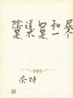 阴道口和尿道口是不是一个位置