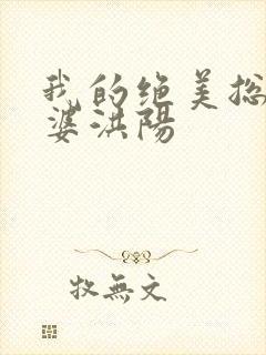 我的绝美总裁老婆洪阳