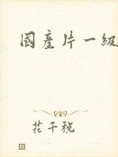 国产片一级黄色