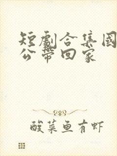 短剧合集国民老公带回家