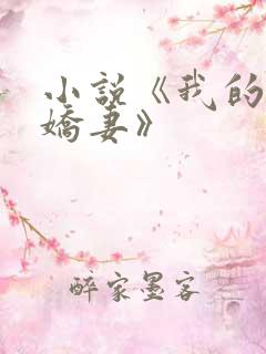 小说《我的极品娇妻》