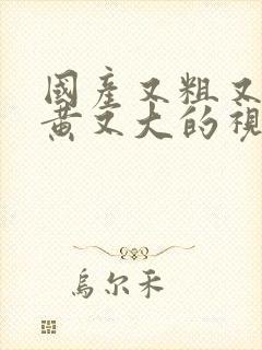 国产又粗又猛又黄又大的视频