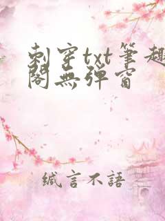 刺穿txt笔趣阁无弹窗