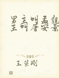 男主叫孟观鹤女主叫唐安意的小说