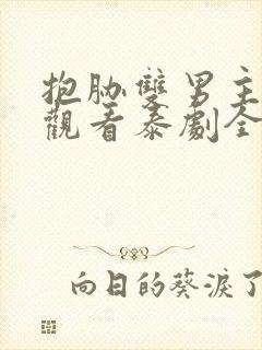 抱胁双男主免费观看泰剧全集高清版