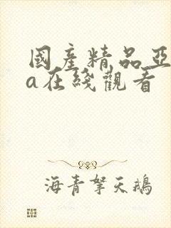 国产精品亚洲va在线观看