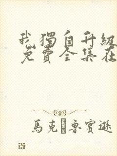 我独自升级漫画免费全集在线看