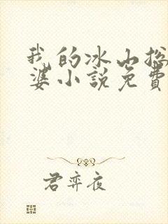 我的冰山总裁老婆小说免费完整版