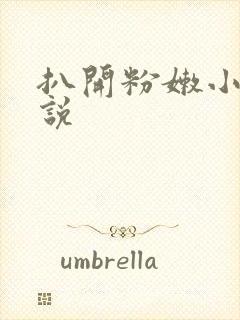 扒开粉嫩小添小说