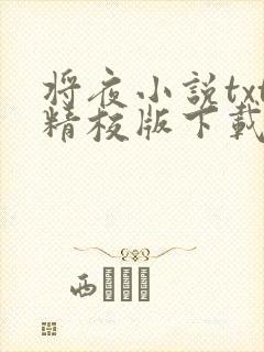 将夜小说txt精校版下载