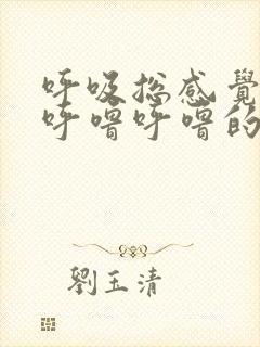 呼吸总感觉肺里呼噜呼噜的