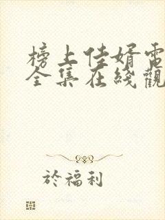 榜上佳婿电视剧全集在线观看免费播放