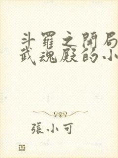 斗罗之开局加入武魂殿的小说