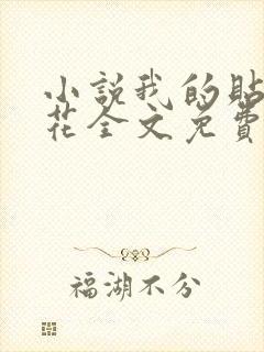 小说我的贴身校花全文免费看