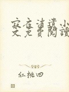 寂夜消遗小说全文免费阅读