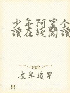 少年阿宾全文阅读在线阅读全文第一季