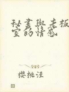 秘书与老板办公室的情感