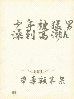 少年被猛男轮流澡到高潮h