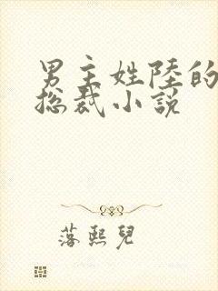 男主姓陆的豪门总裁小说