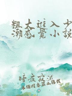 粗大进入少妇高潮感觉小说