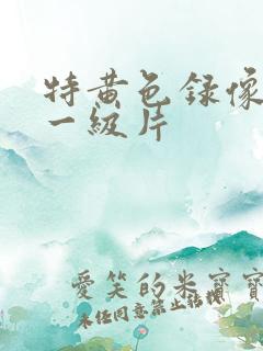 特黄色录像美国一级片