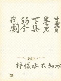 我的下半生电视剧全集免费观看高清