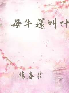 母牛还叫什么牛