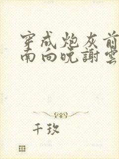 穿成炮灰前妻,南向晚谢云霆