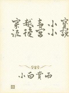 穿越韦小宝之风流后宫小说