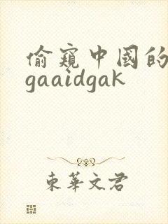 偷窥中国的女人gaaidgak