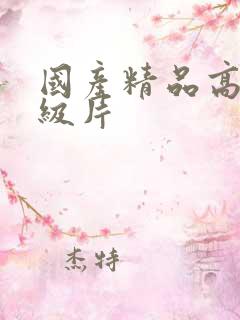 国产精品高清一级片