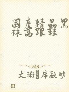 国产精品黑色丝袜高跟鞋