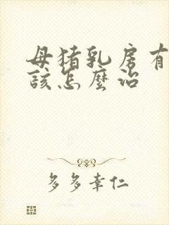 母猪乳房有肿块该怎么治