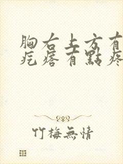 胸右上方有个硬疙瘩有点疼