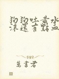 狗狗吐黄水带泡沫还有点血