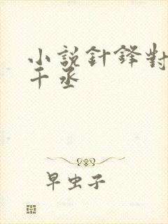 小说针锋对决水千丞